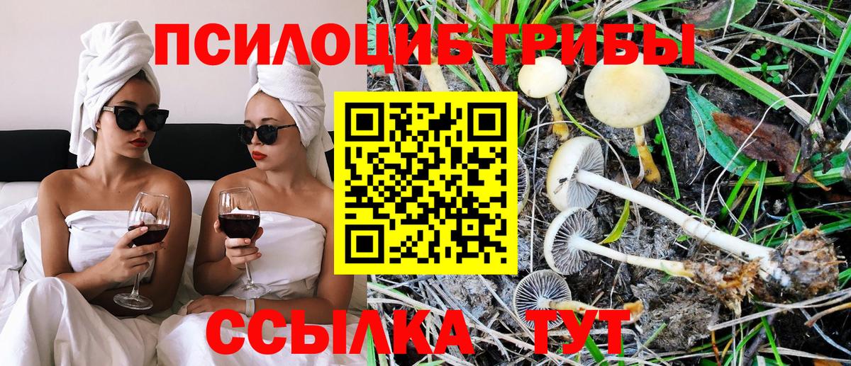 Тобольск  Псилоцибиновые грибы мицелий  Вход с VPN  Галлюциногенные грибы Cubensis 